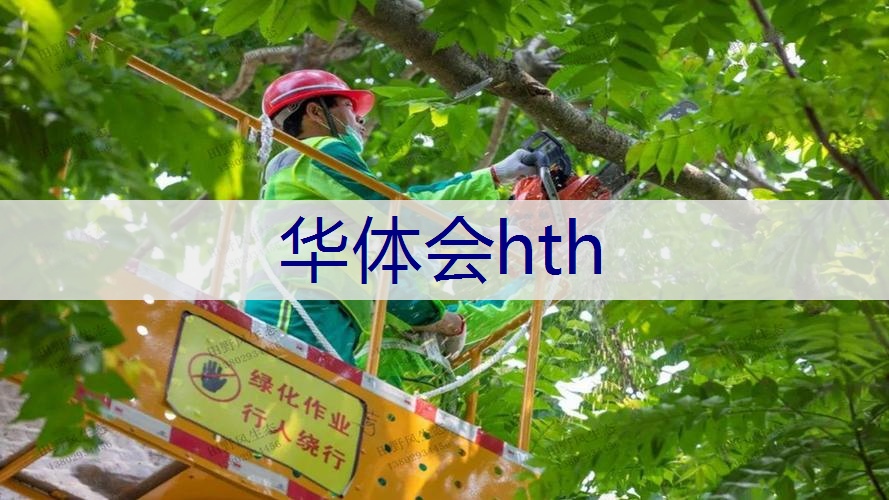 广水绿化养护价格标准最新