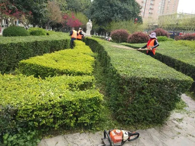 永安城市道路两边的绿化归谁管