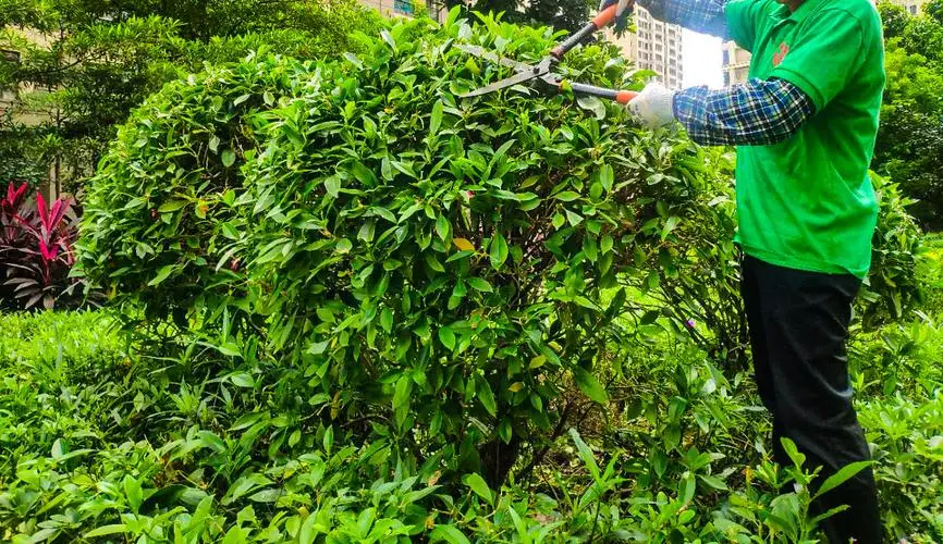 花园园林景观设计方案